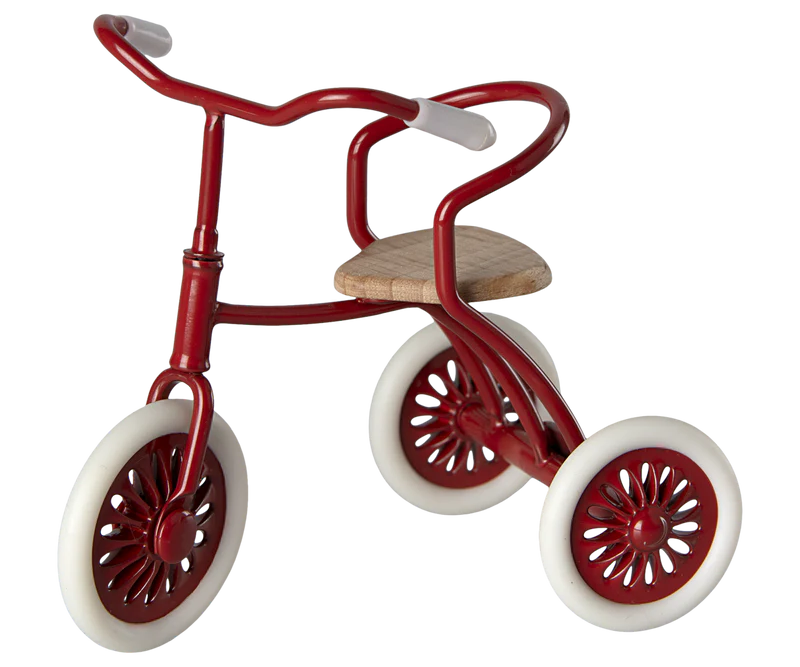 Red Tricycle & Shed