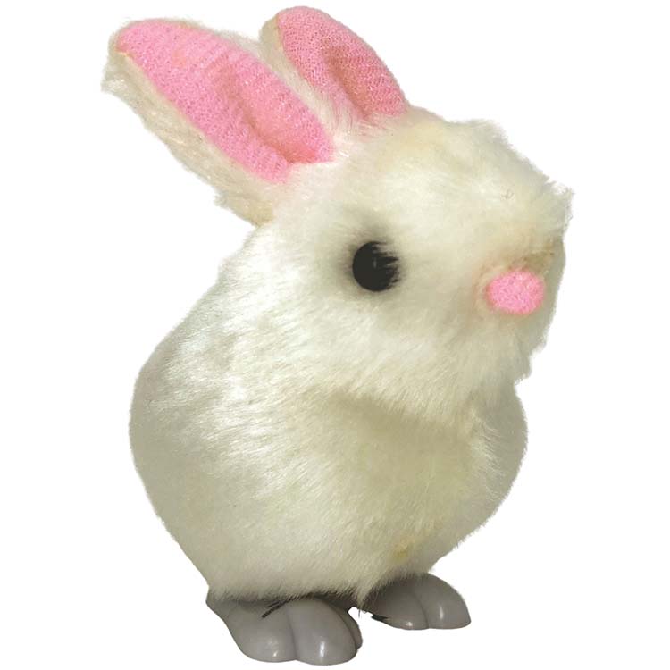 Wind Up Hoppity Bunny