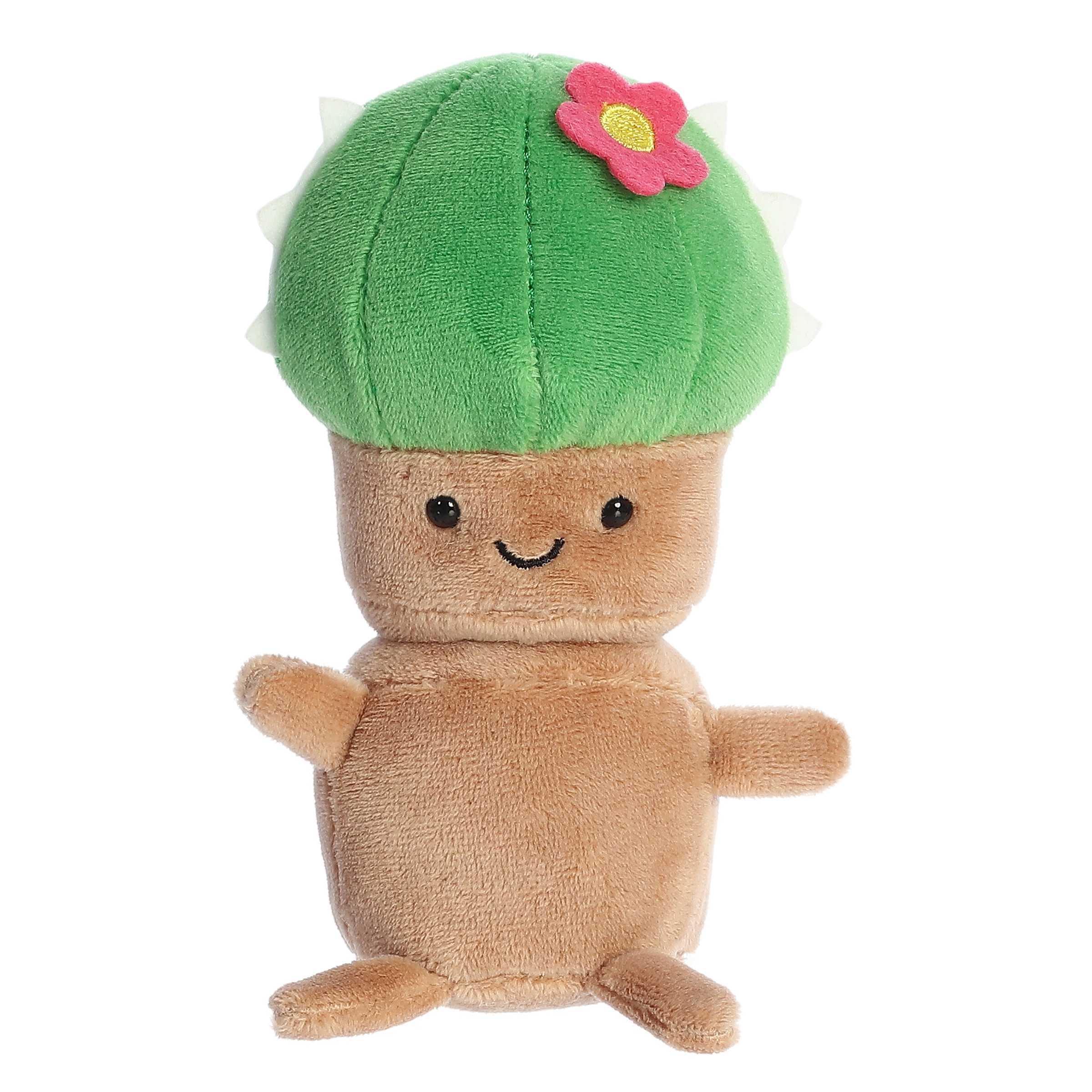 Land of Lils Catus - A Child's Delight