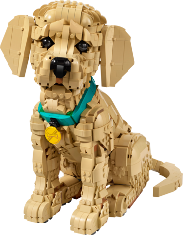 LEGO® 11384 Golden Retriever Puppy