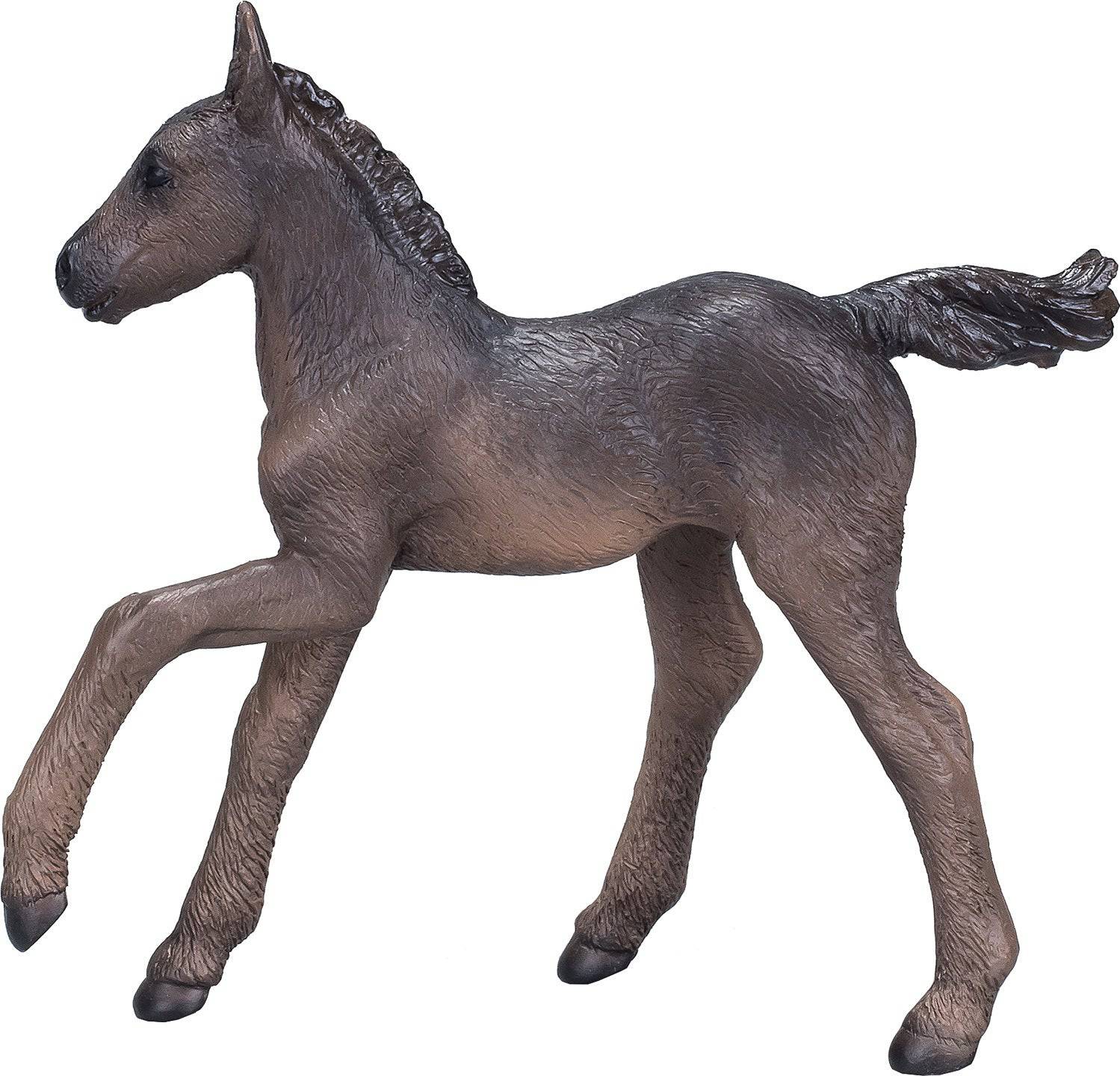 381015 ARABIAN FOAL BLACK - A Child's Delight