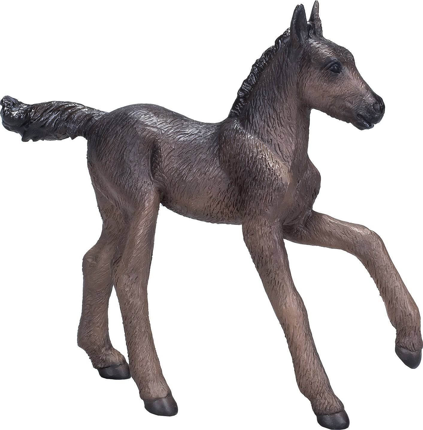 381015 ARABIAN FOAL BLACK - A Child's Delight