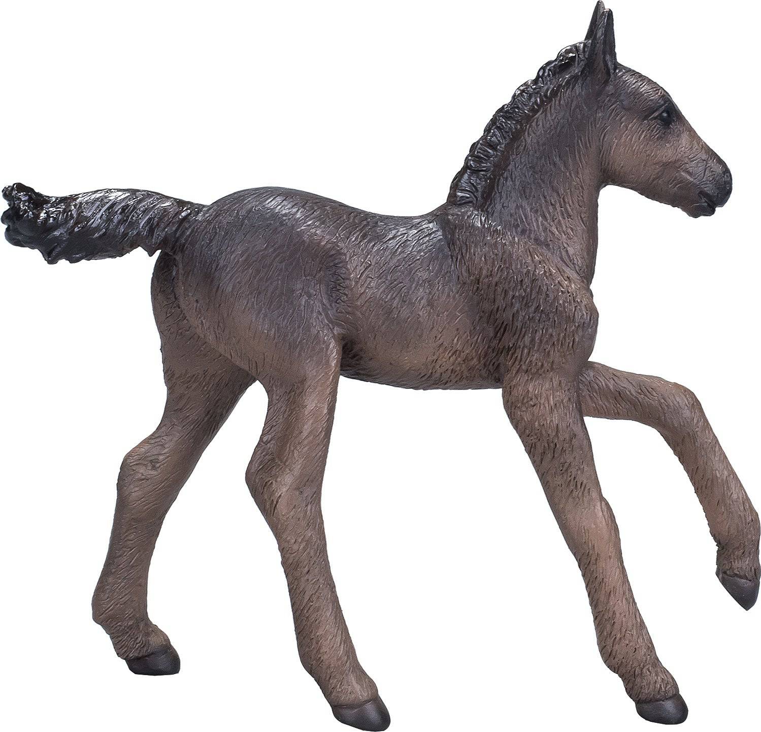 381015 ARABIAN FOAL BLACK - A Child's Delight