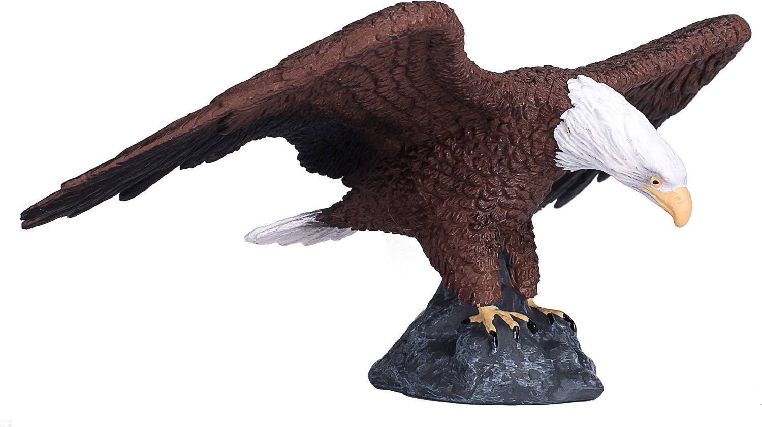 387027 BALD EAGLE - A Child's Delight