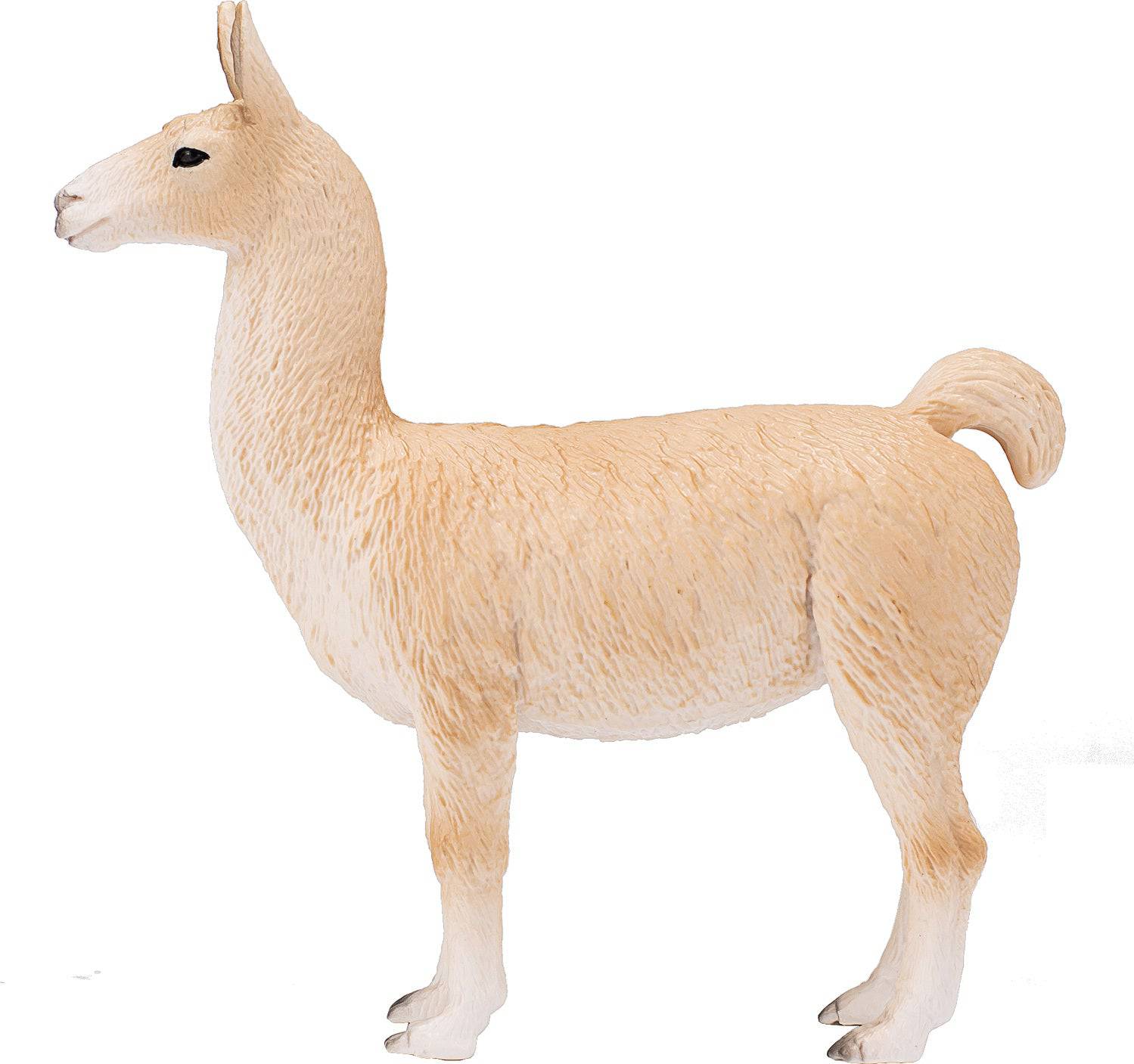 387391 LLAMA - A Child's Delight