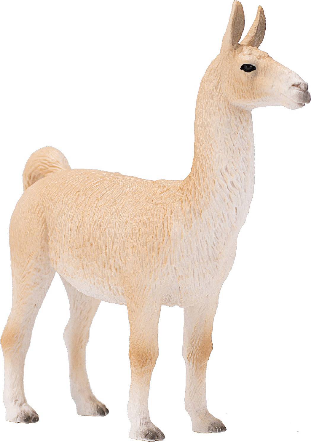 387391 LLAMA - A Child's Delight