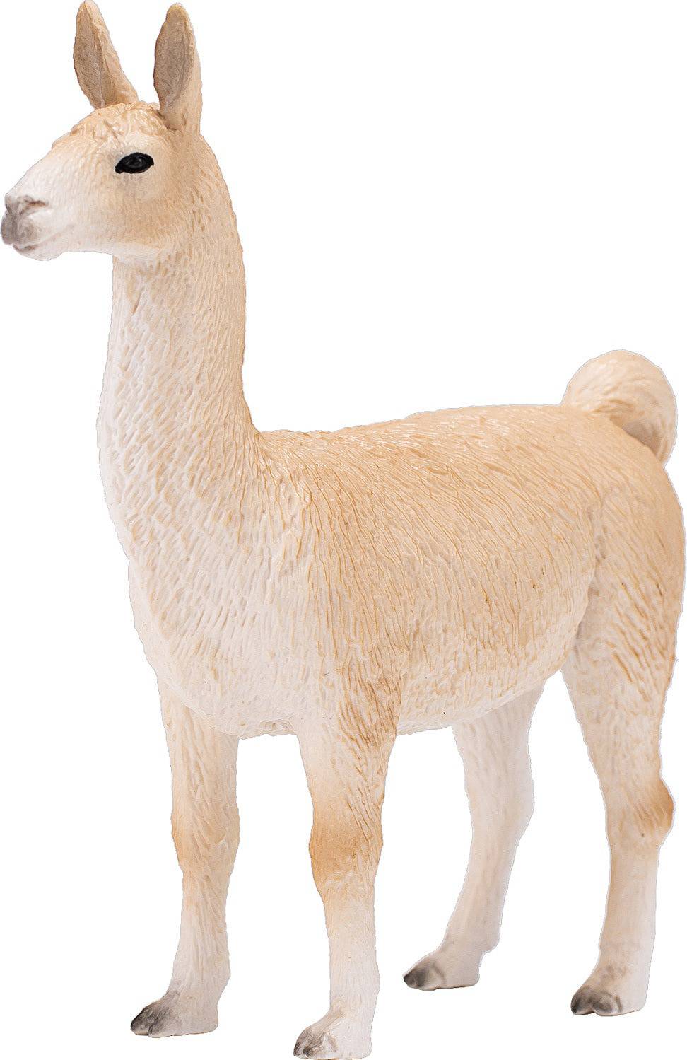 387391 LLAMA - A Child's Delight