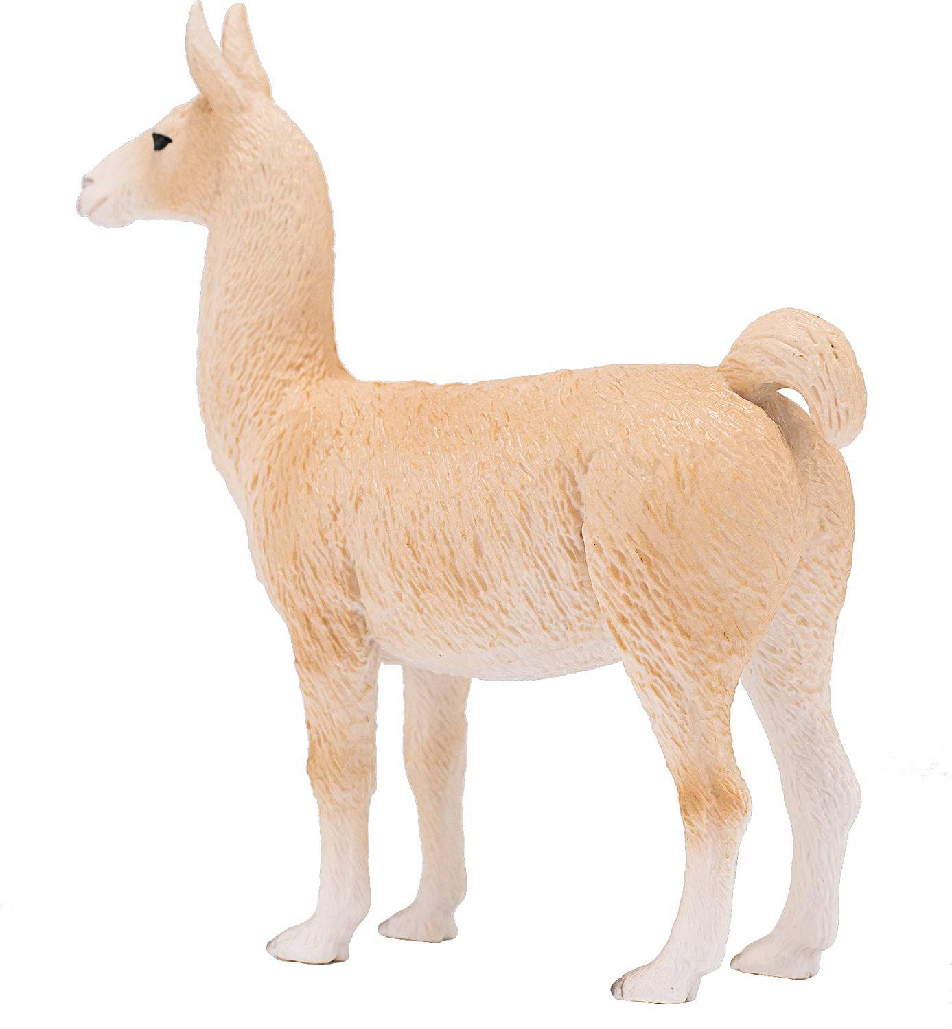387391 LLAMA - A Child's Delight