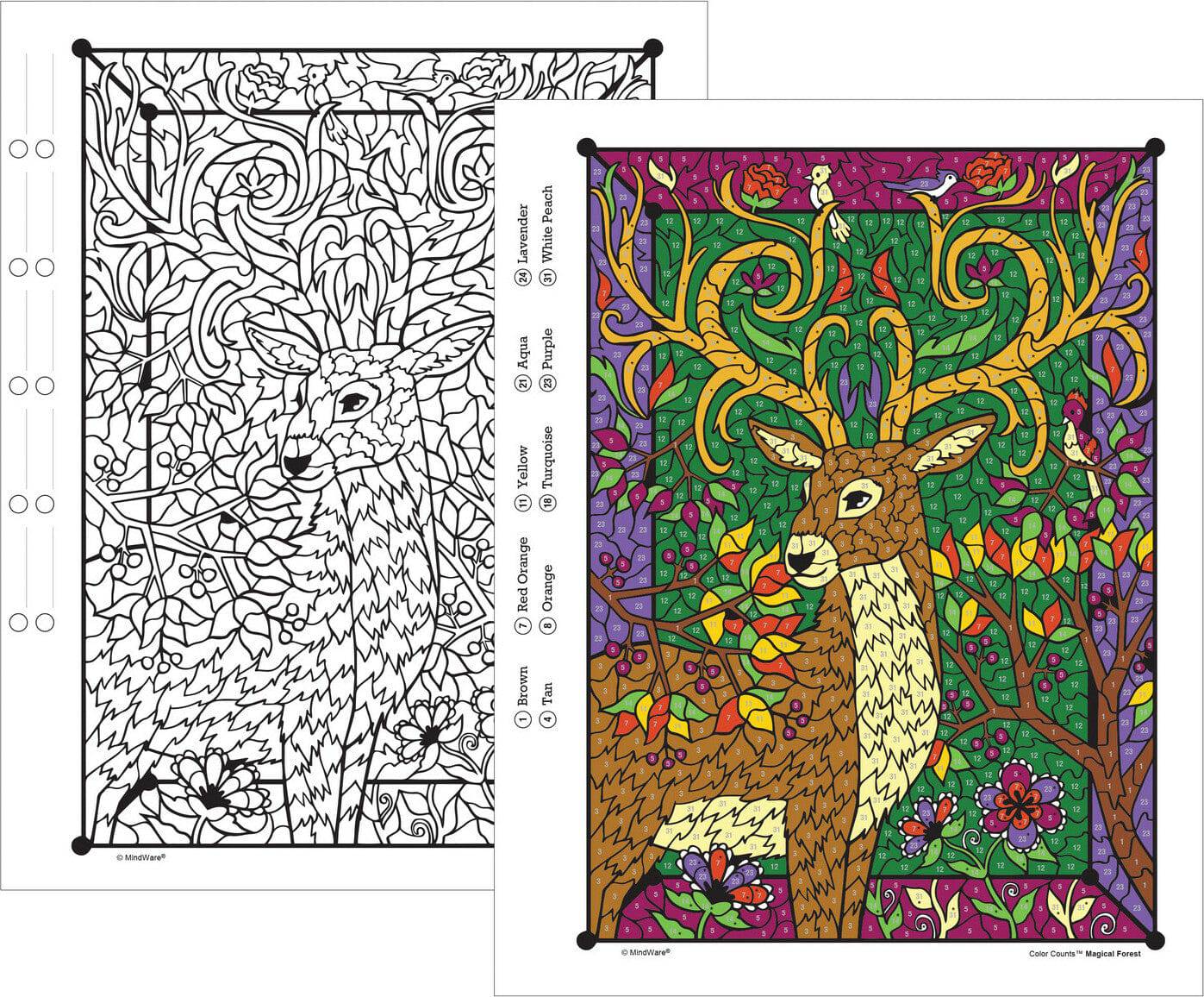 13946341 CBN CC MAGICAL FOREST - A Child's Delight