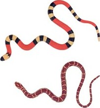 Club Earth Mega Stretch Snake (assorted)