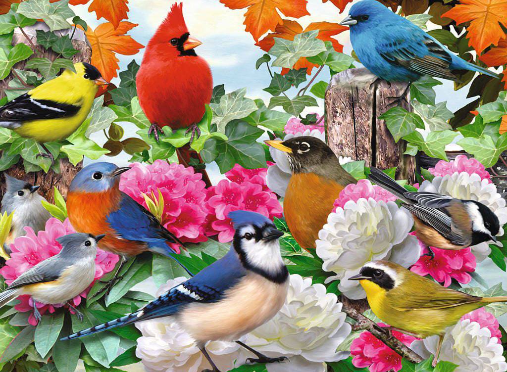 500Pc Garden Birds - A Child's Delight