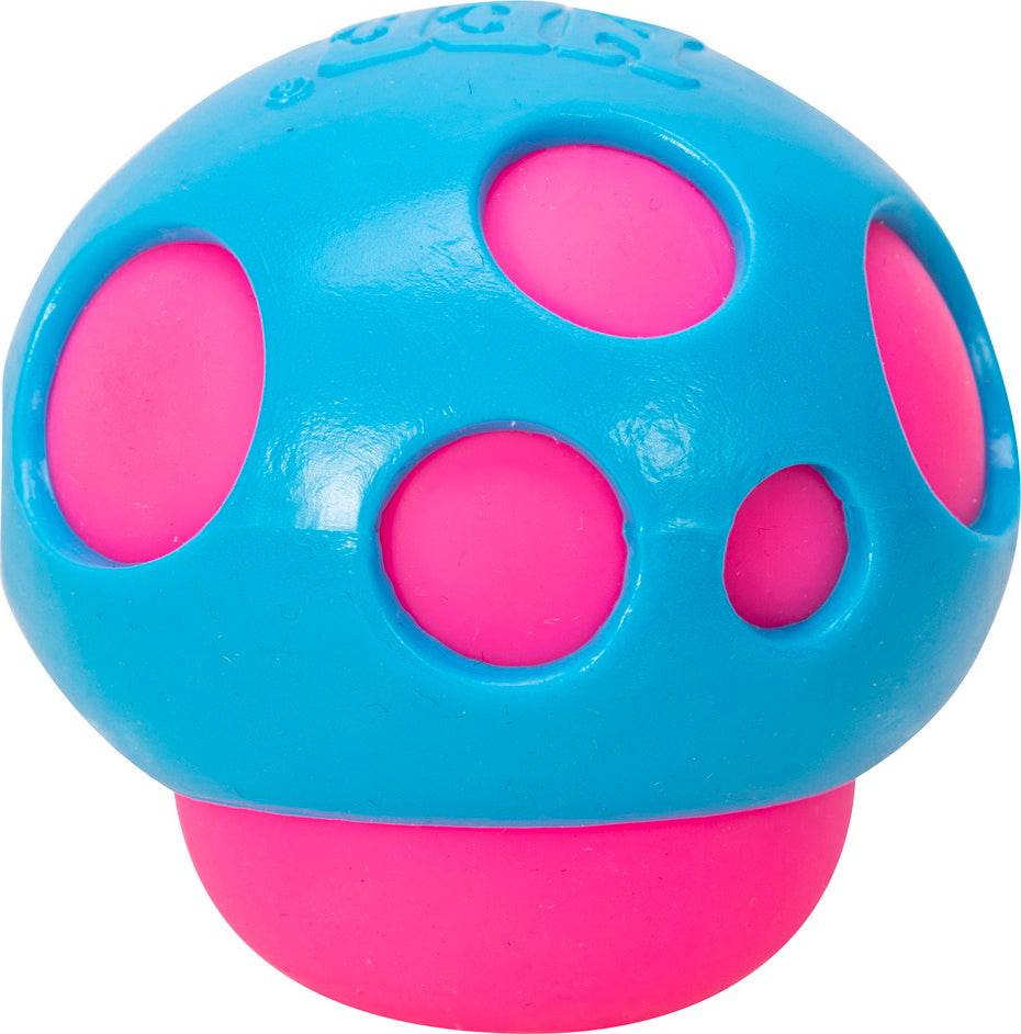 Groovy Shroom NeeDoh - A Child's Delight