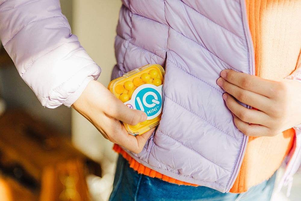 IQ Mini Puzzle - A Child's Delight