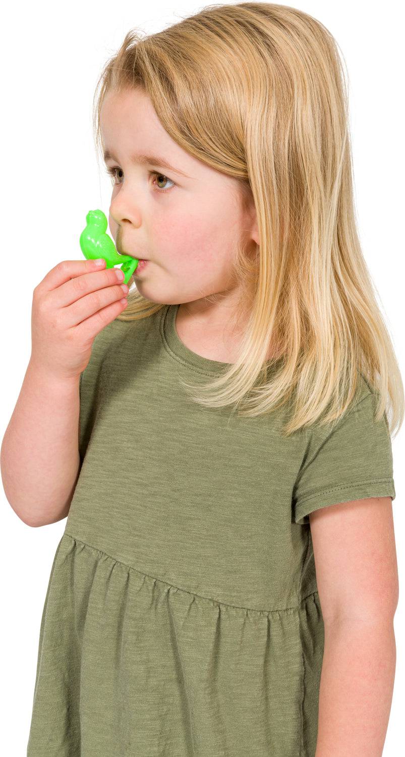 Bird Whistle - A Child's Delight