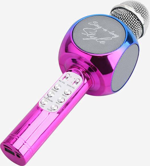 Karaoke Microphone - Metallic - A Child's Delight