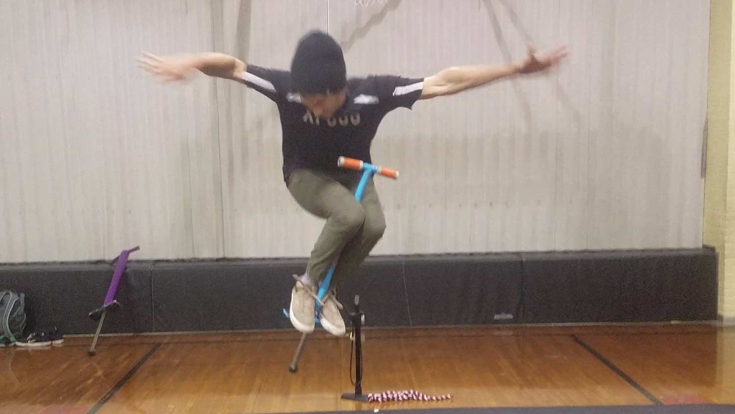Flight Pogo - A Child's Delight