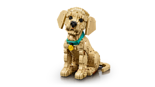 LEGO® 11384 Golden Retriever Puppy