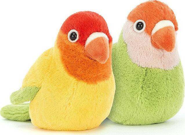 A Pair of Lovely Lovebirds - A Child's Delight