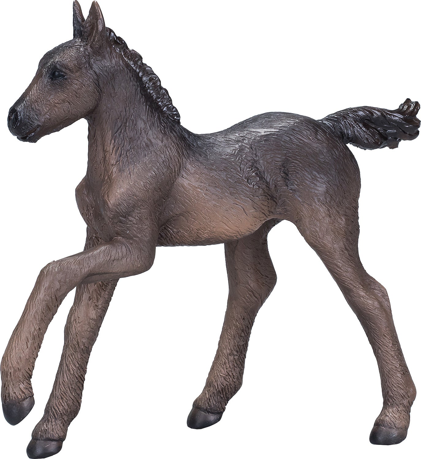 Arabian Foal Black