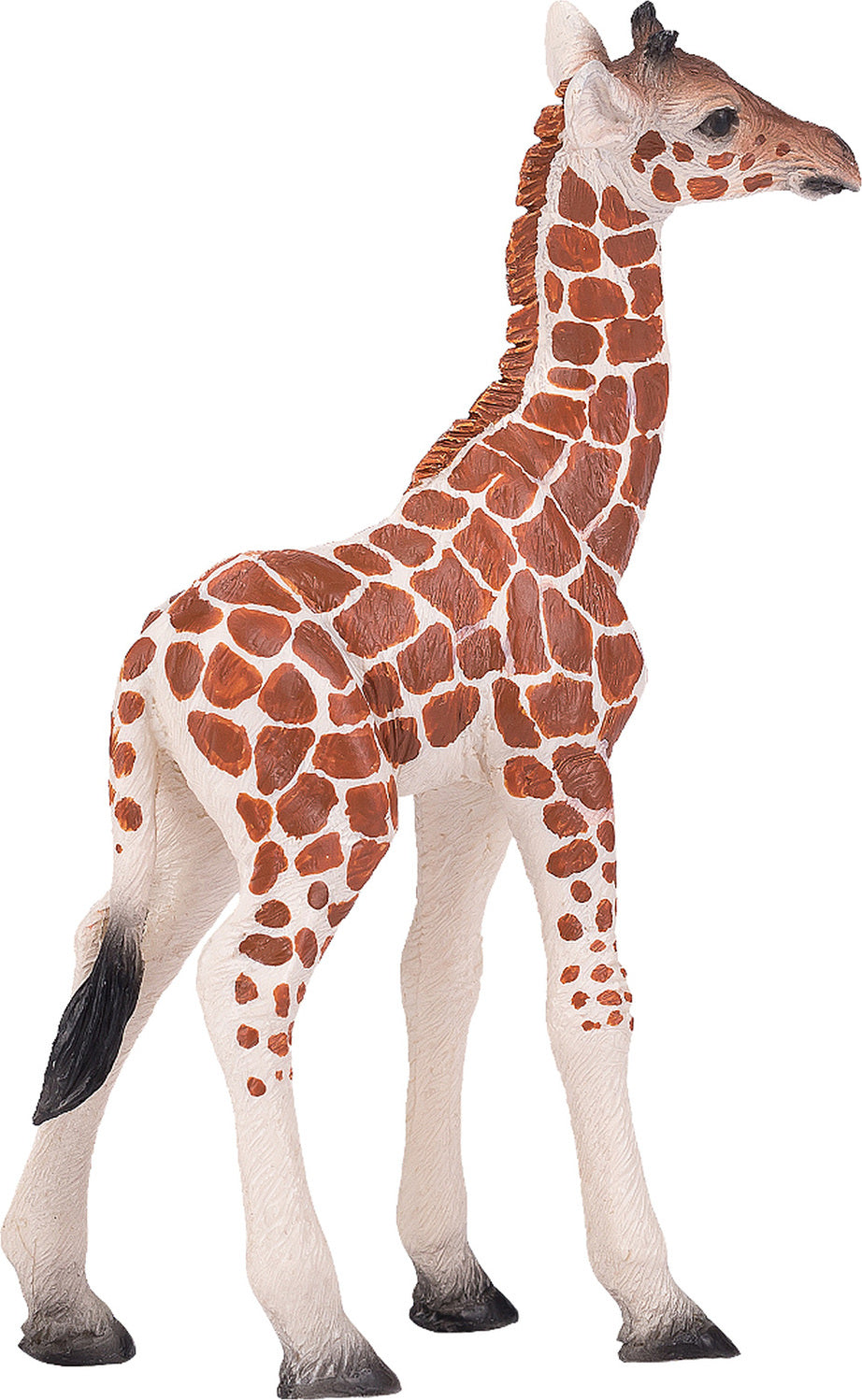 Giraffe (young)
