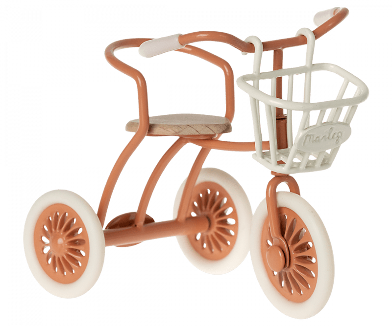 Tricycle Basket - A Child's Delight